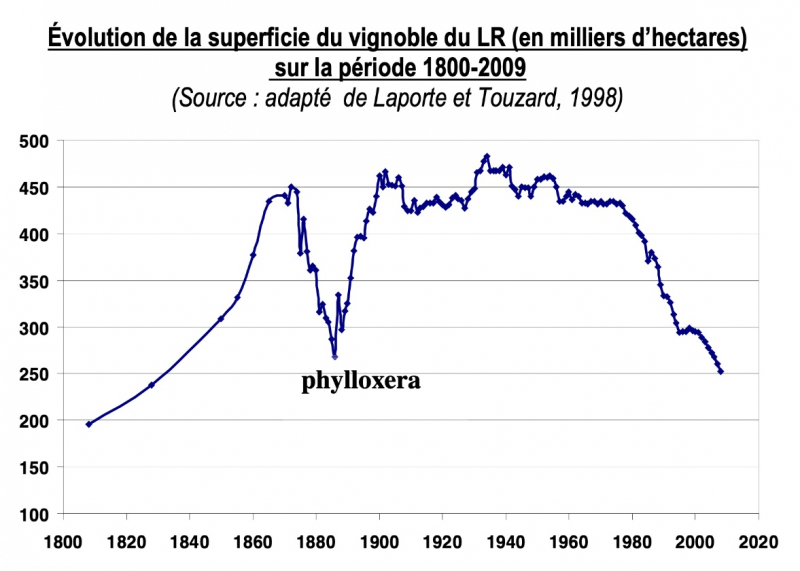 Figure 1. Évolution contemporaine de la superficie du vignoble régional