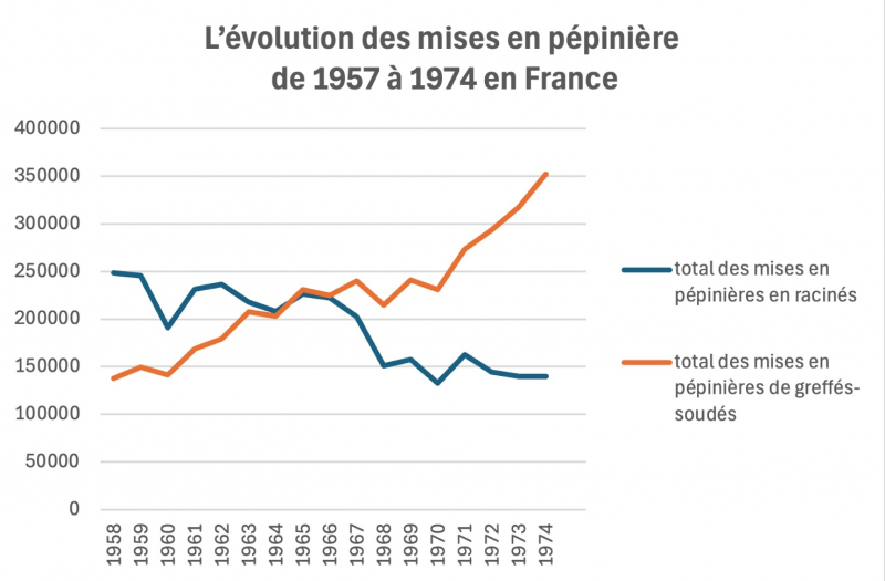 Figure 4. L’évolution des mises en pépinière de 1957 à 1974 en France